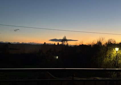 88757E45-4A7C-4F20-BCEE-43C357D70D38_1_105_c