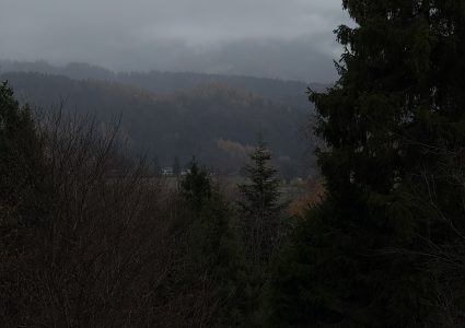 AD75A978-A228-48B7-BBC0-4E66CF448029_1_102_o