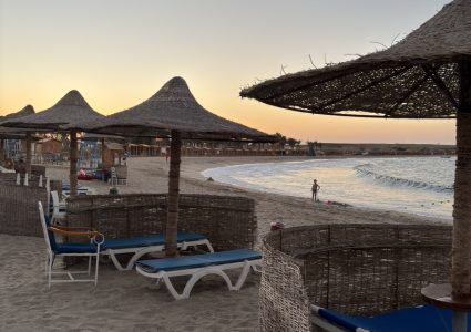 C32C15FC-DF64-42F6-B315-44B0C3ABFDF2_1_105_c